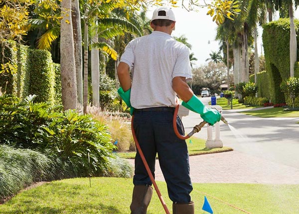 About Stanwood IA Pest Control Pros